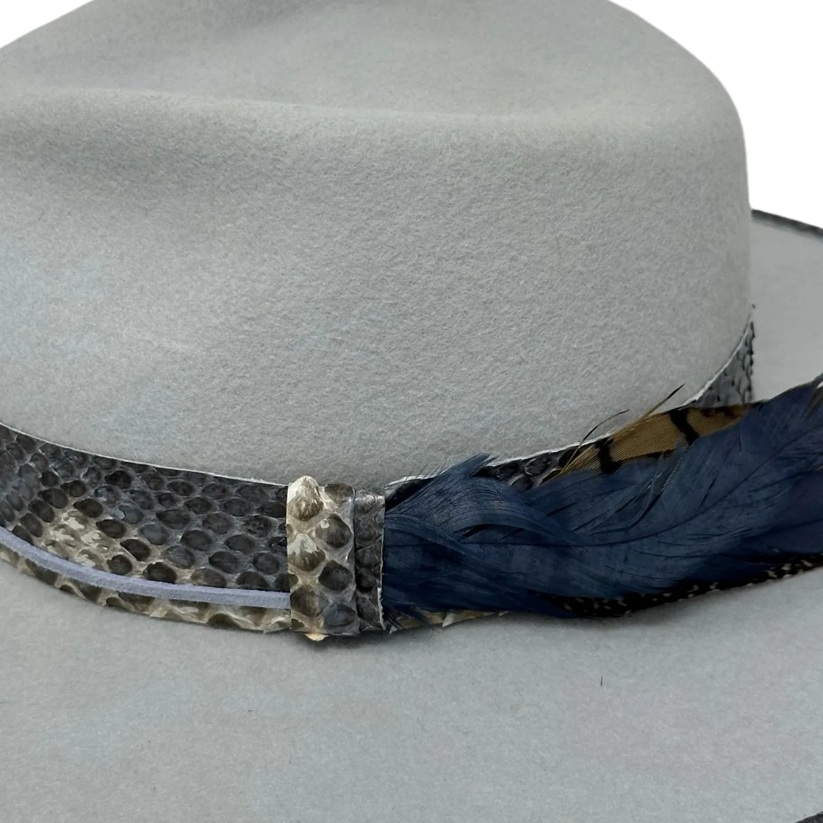 Blue Python Fedora