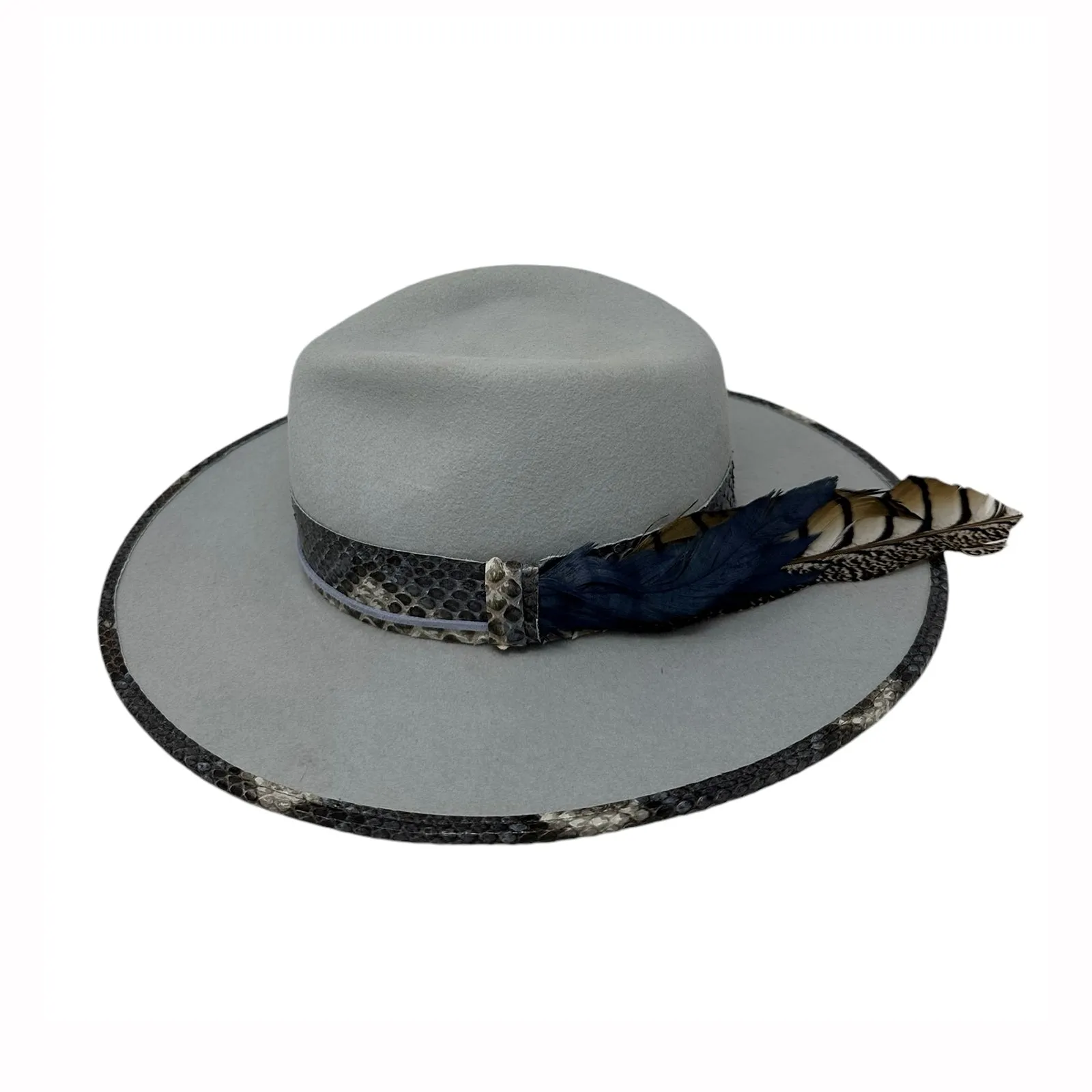 Blue Python Fedora